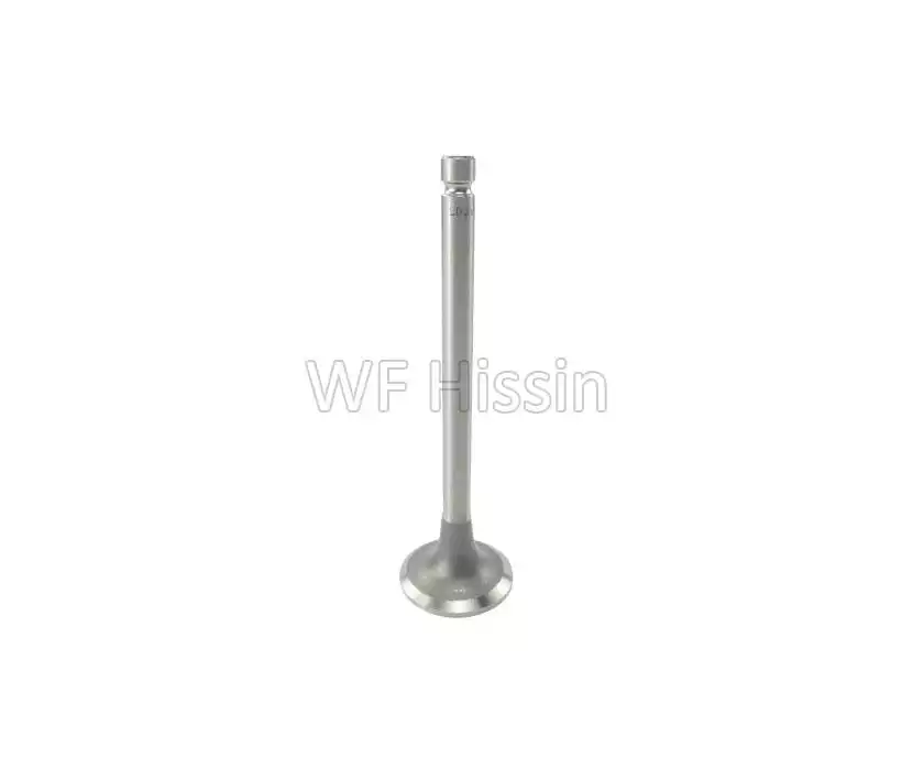 Intake valve 4L22